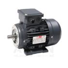 TEC Foot and face mountable electric motor